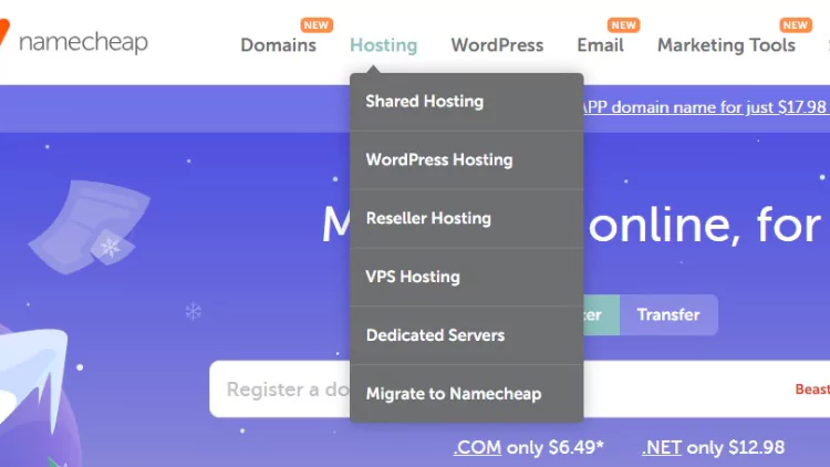 buy domain and hosting from namecheap