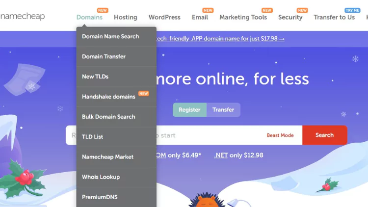 buy domain and hosting from namecheap